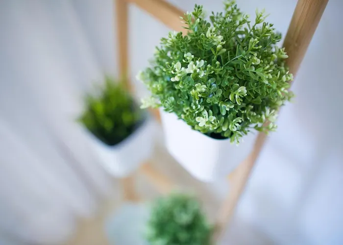 度假居 Ferreras Canteras By Canariasgetaway *